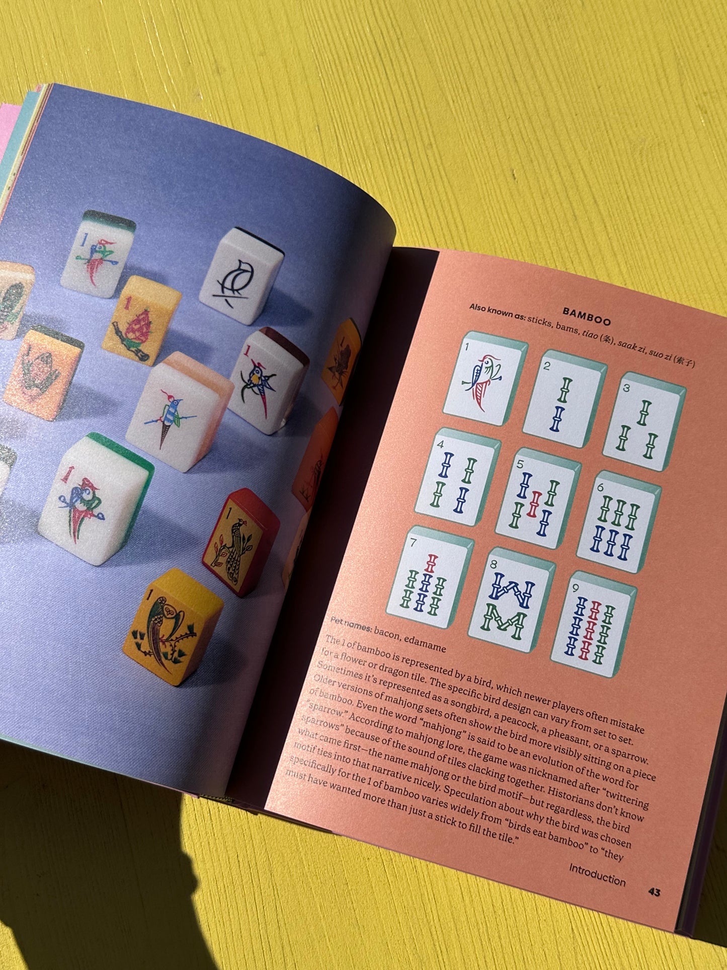 Mahjong Book