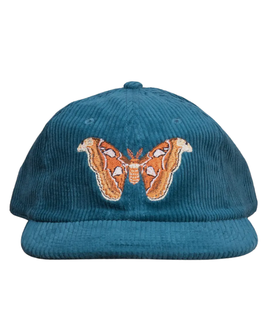 Atlas Moth Corduroy Hat