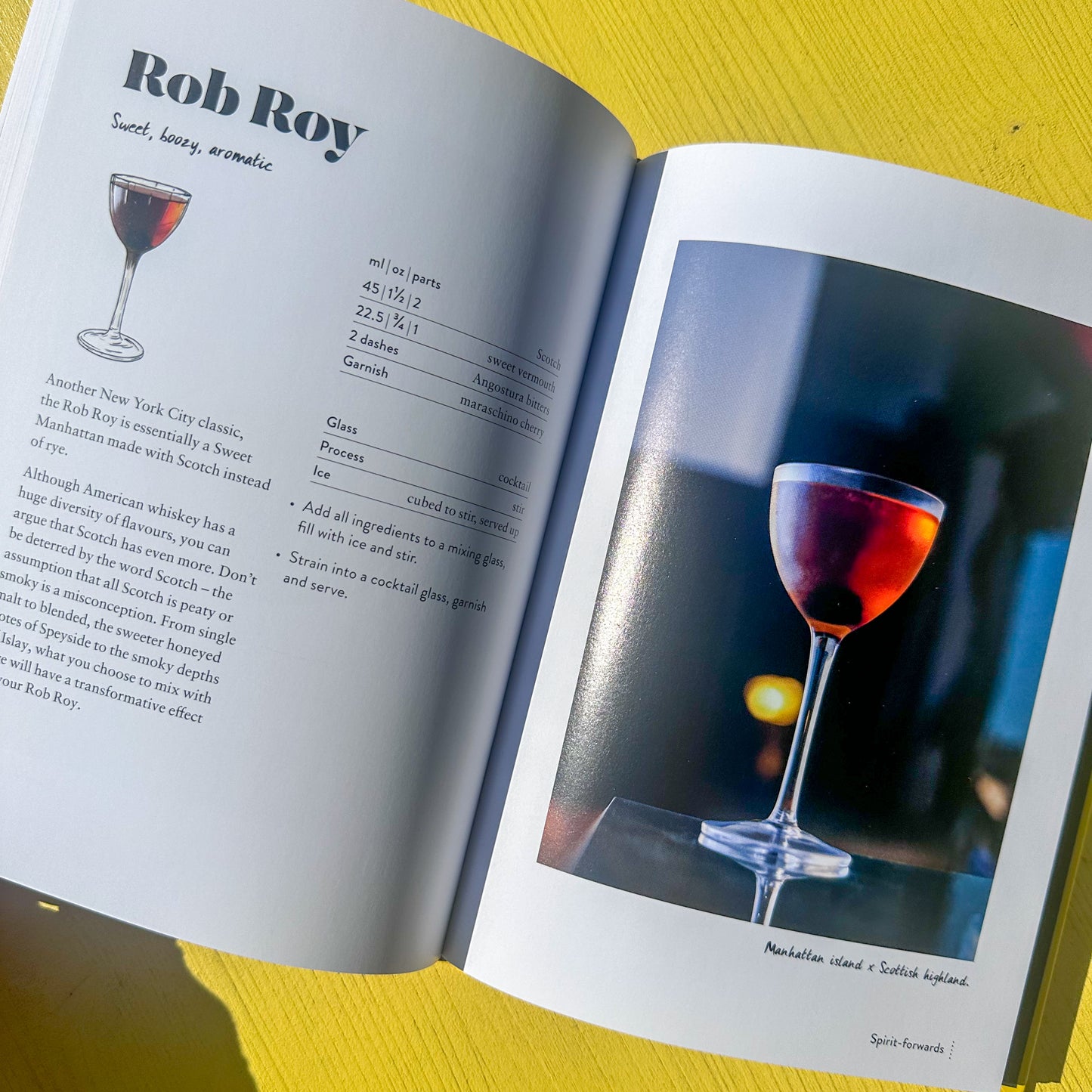 How To Make Better Cocktails Book