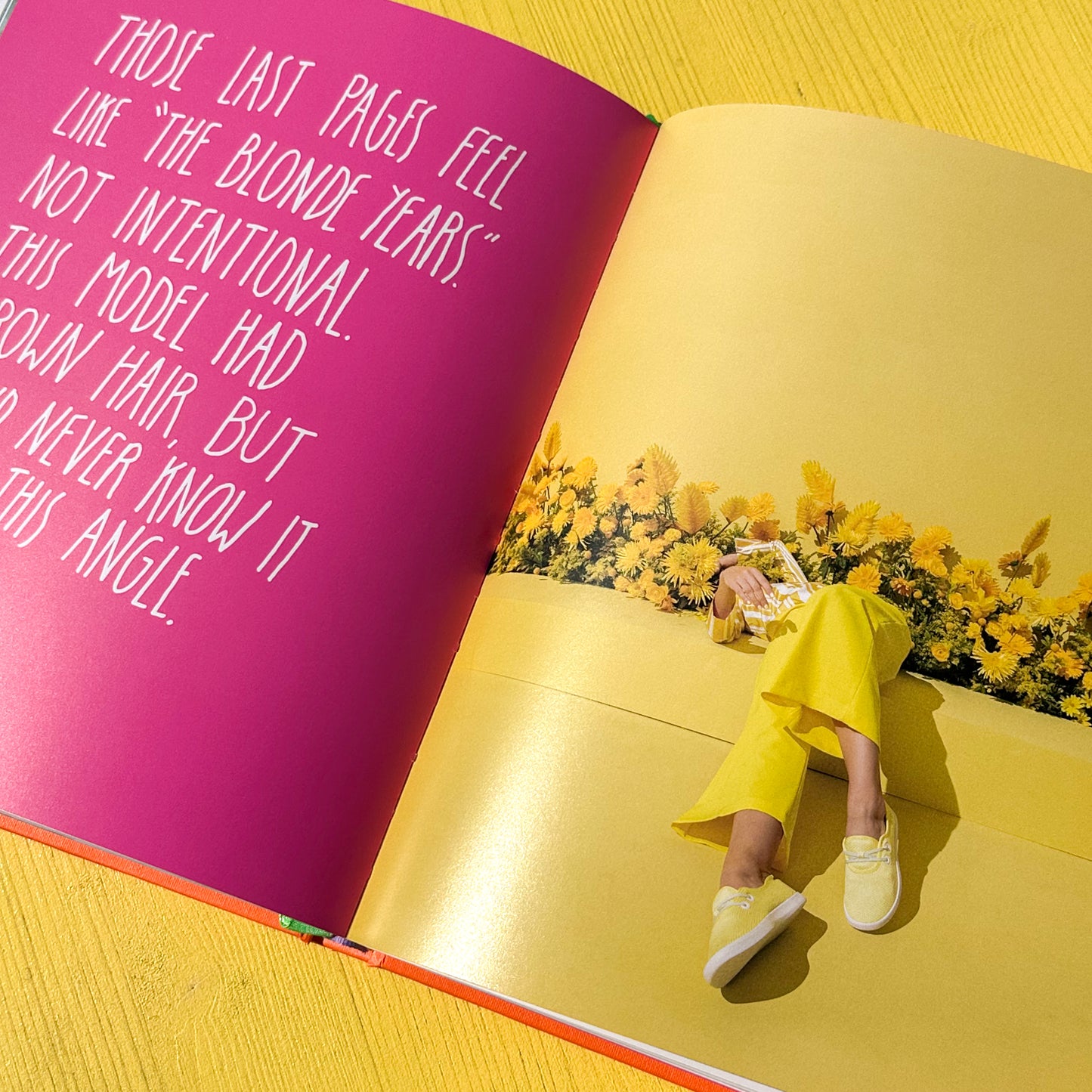 Dream Baby Dream Book