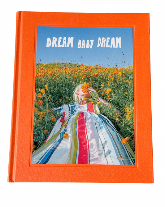 Dream Baby Dream Book