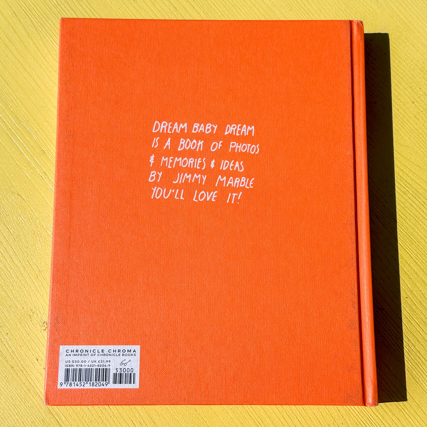 Dream Baby Dream Book