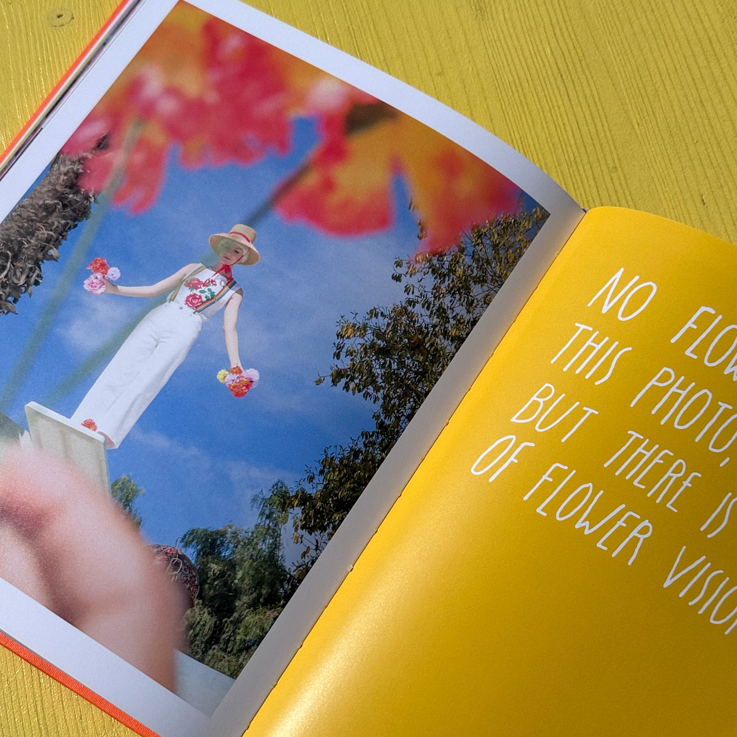 Dream Baby Dream Book