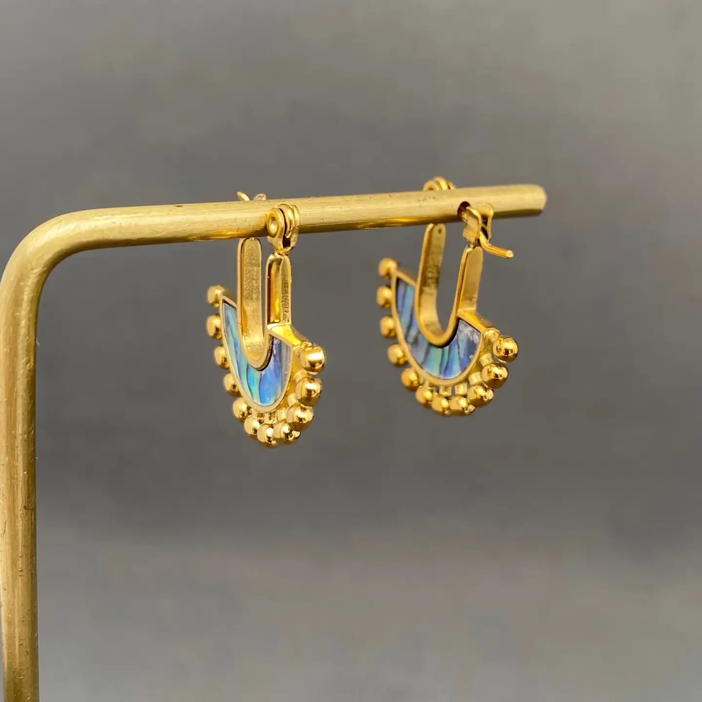 Abalone Earrings