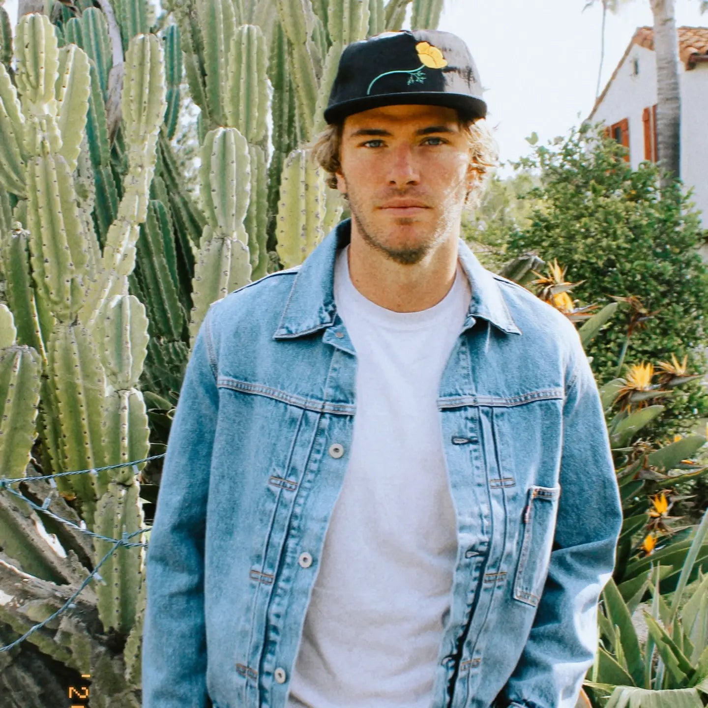 The Poppy Hat by Cheap Whiskey