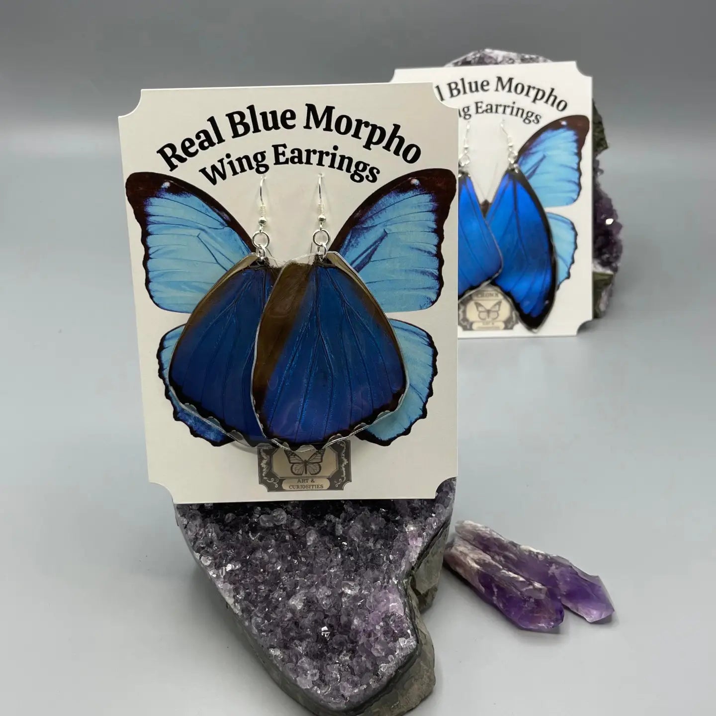 Real Blue Morpho Butterfly Wing Earrings