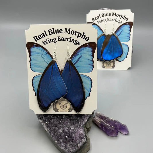 Real Blue Morpho Butterfly Wing Earrings