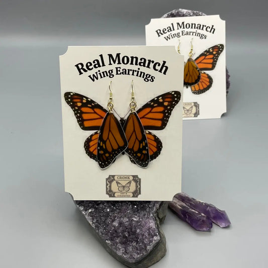 Real Monarch Butterfly Wing Earrings