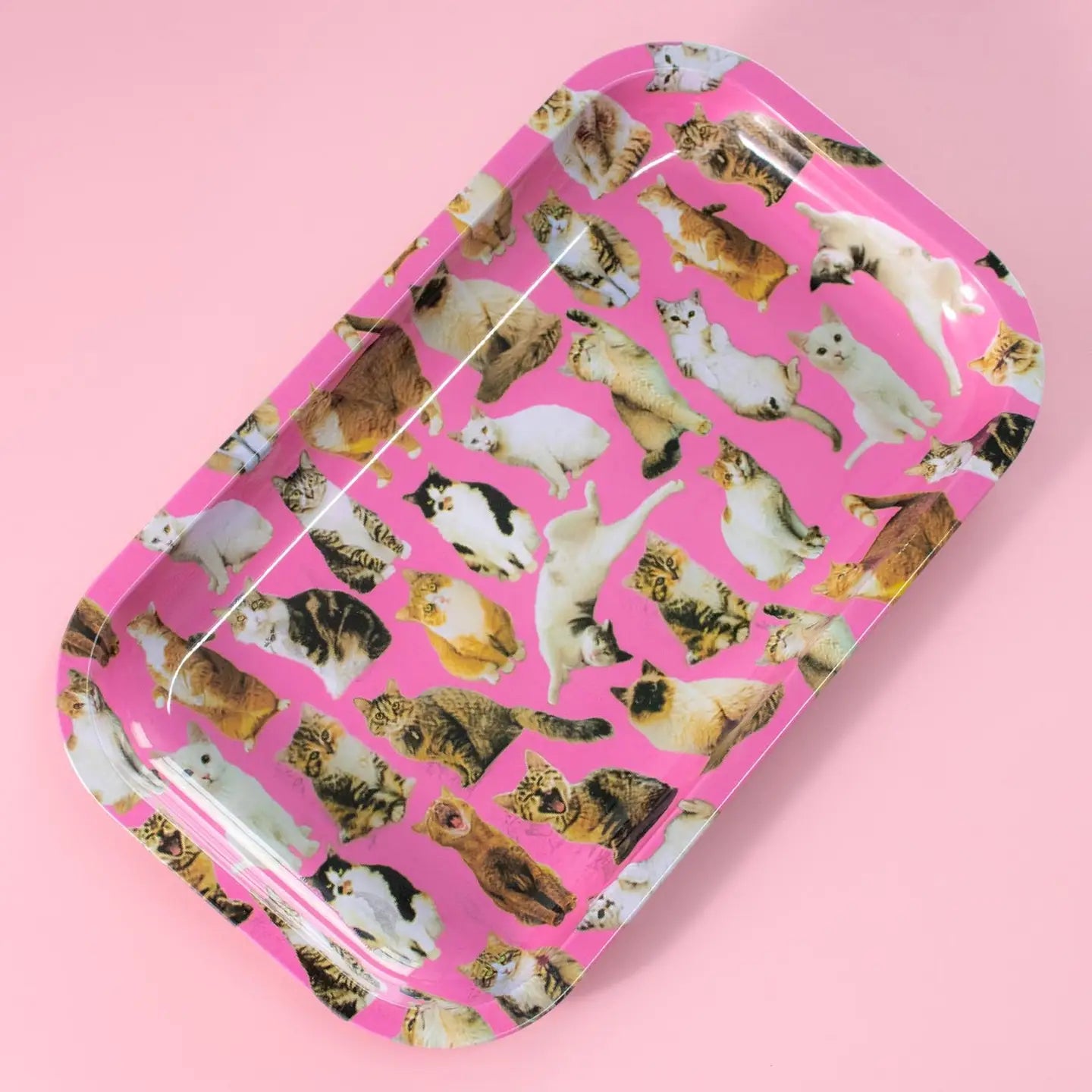 Cats Rolling Tray