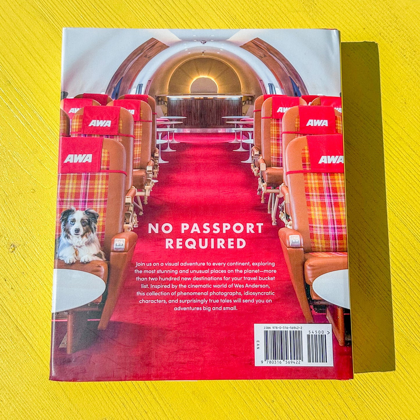 Accidentally Wes Anderson Book