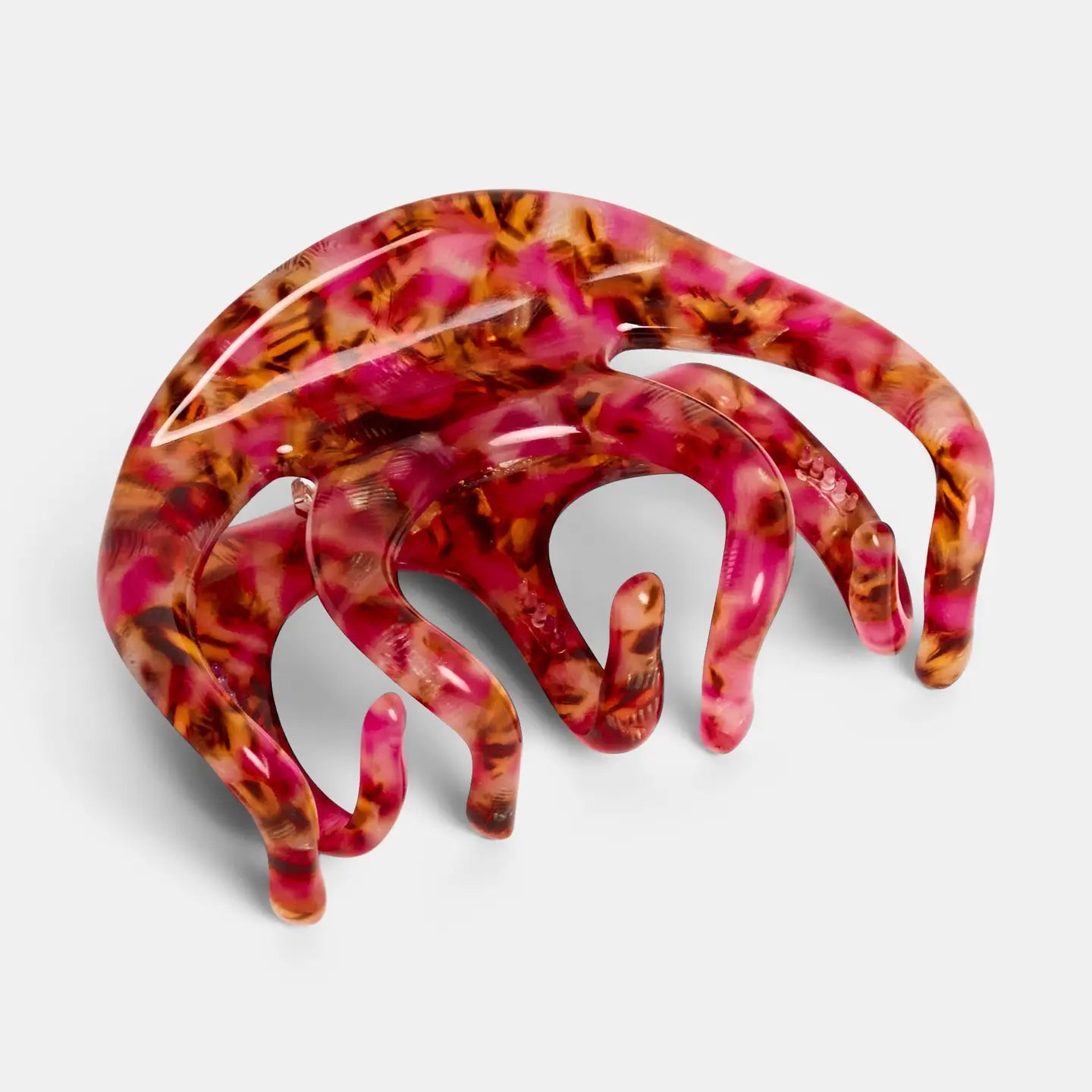 Octopus Claw in Blossom.