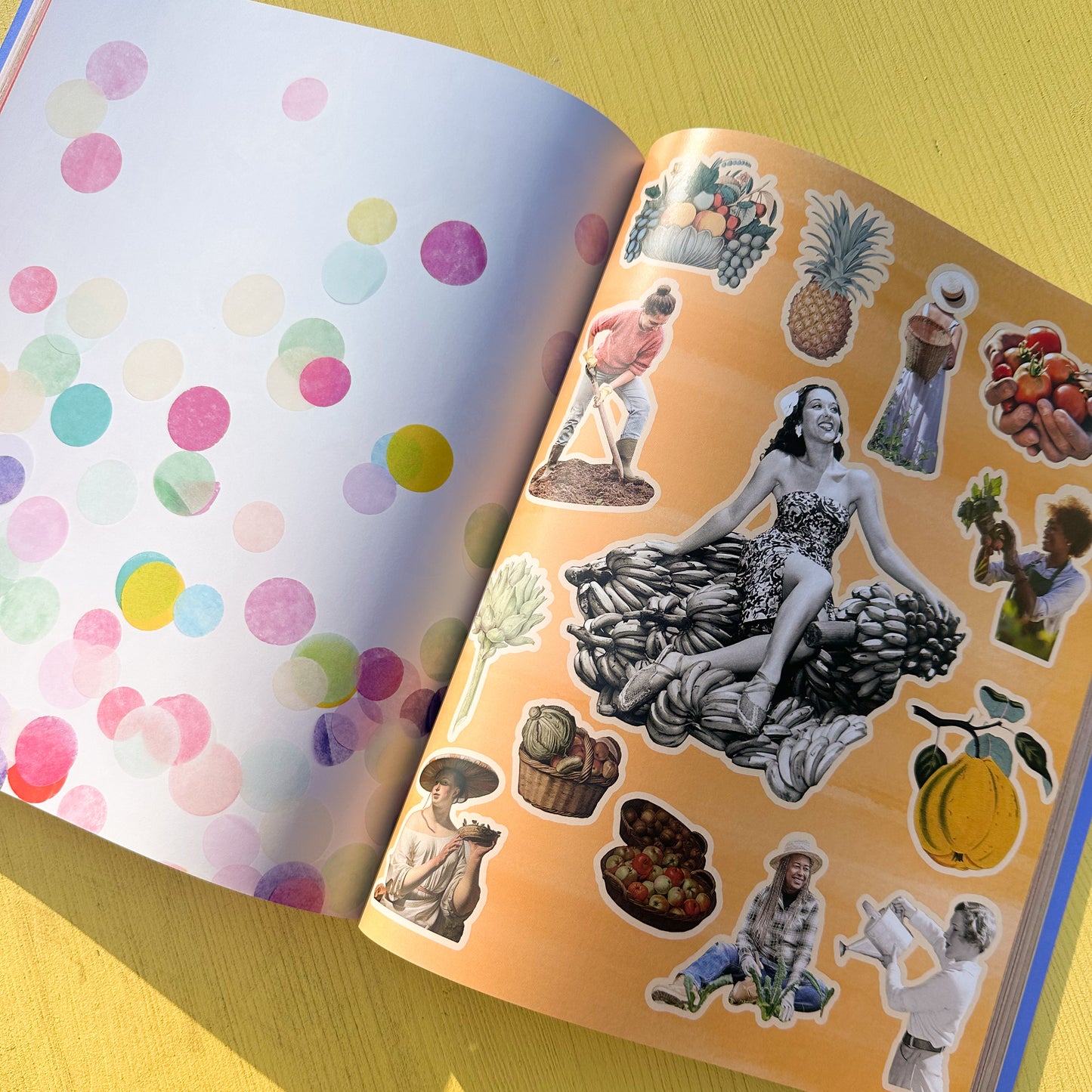 Make A Vision Board Book