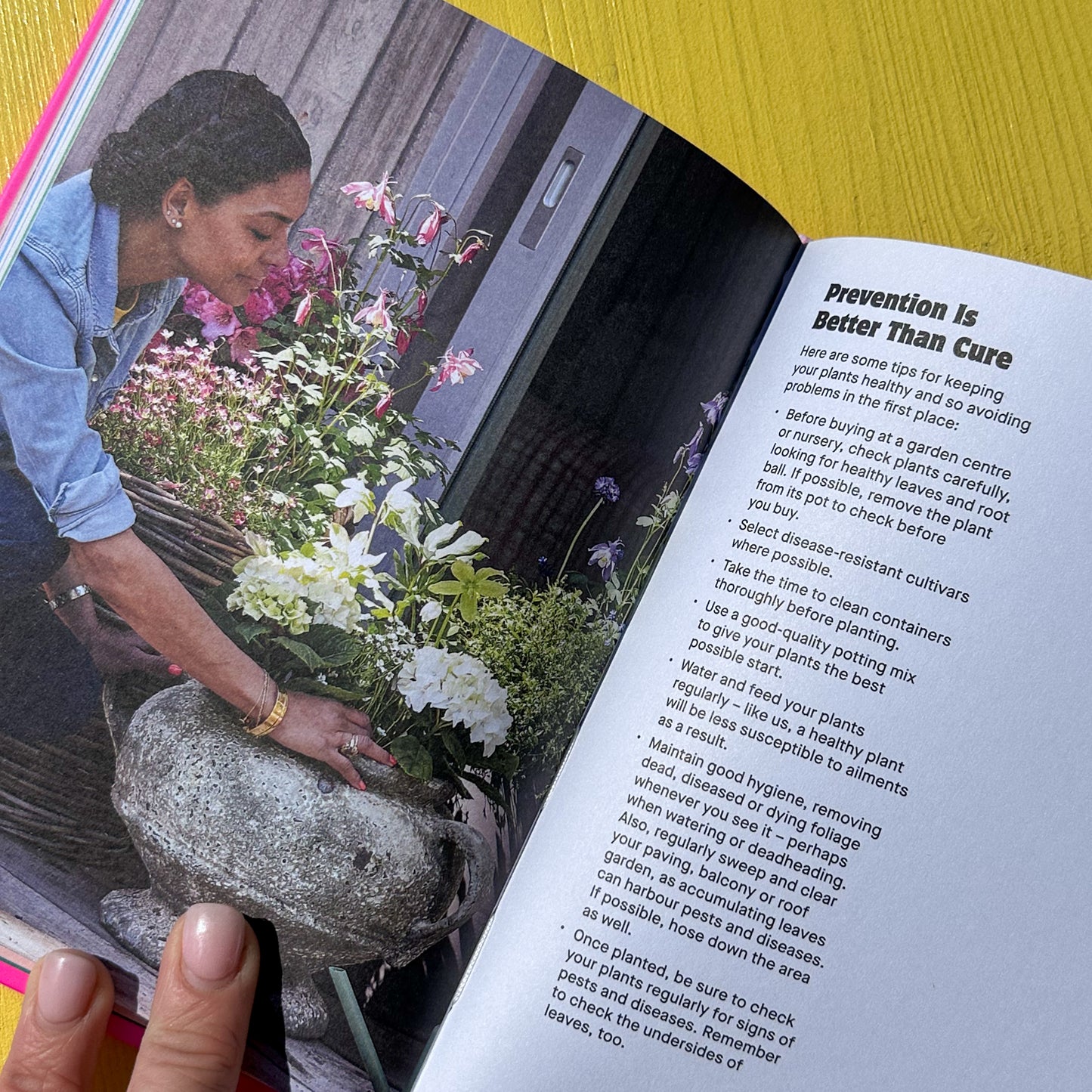 The Container Gardening Handbook