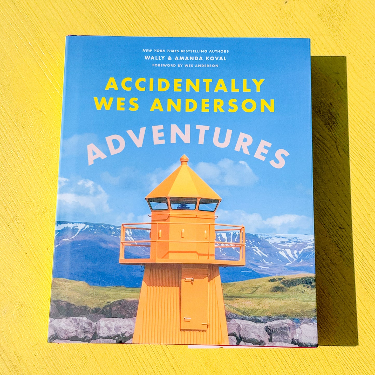 Accidentally Wes Anderson Book