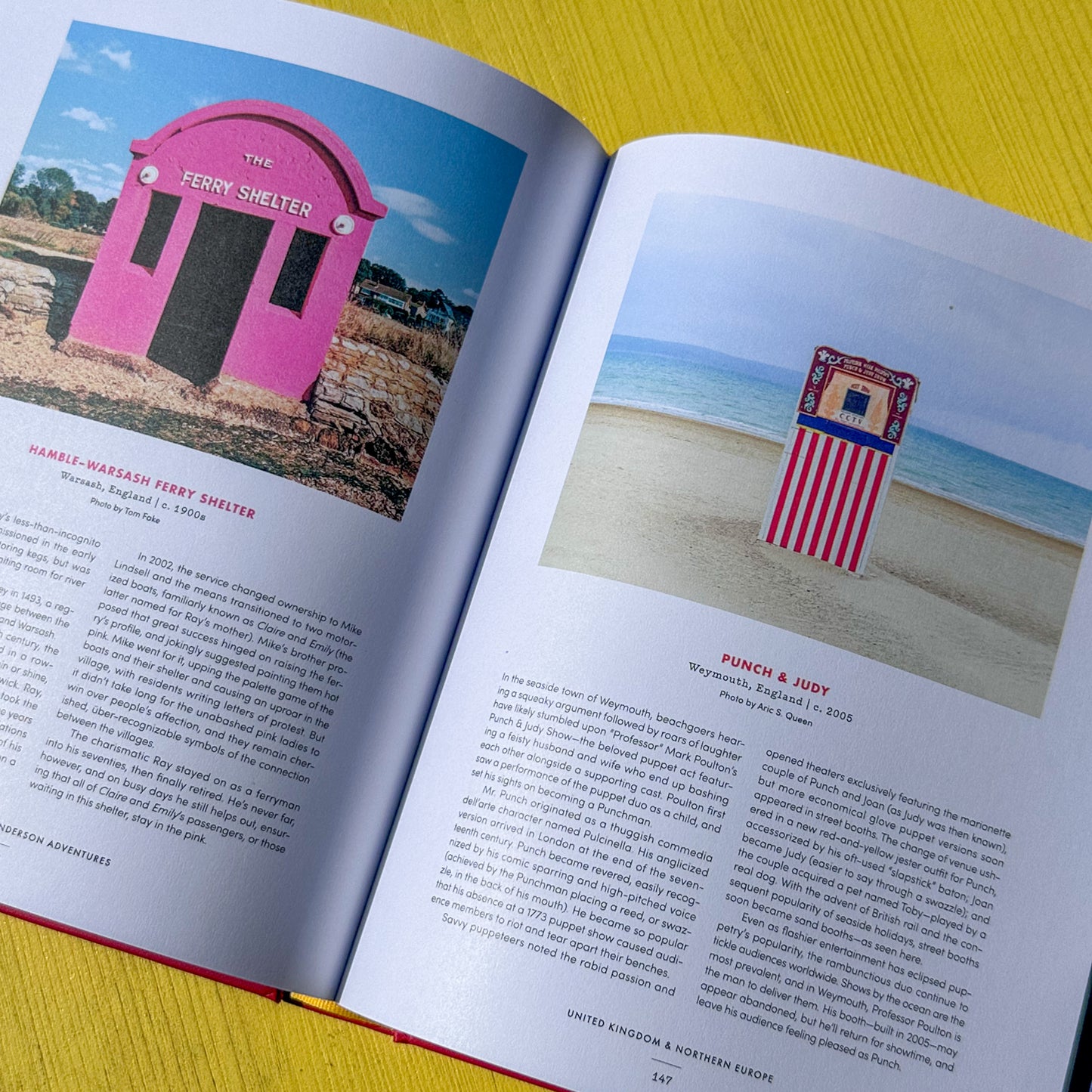 Accidentally Wes Anderson Book