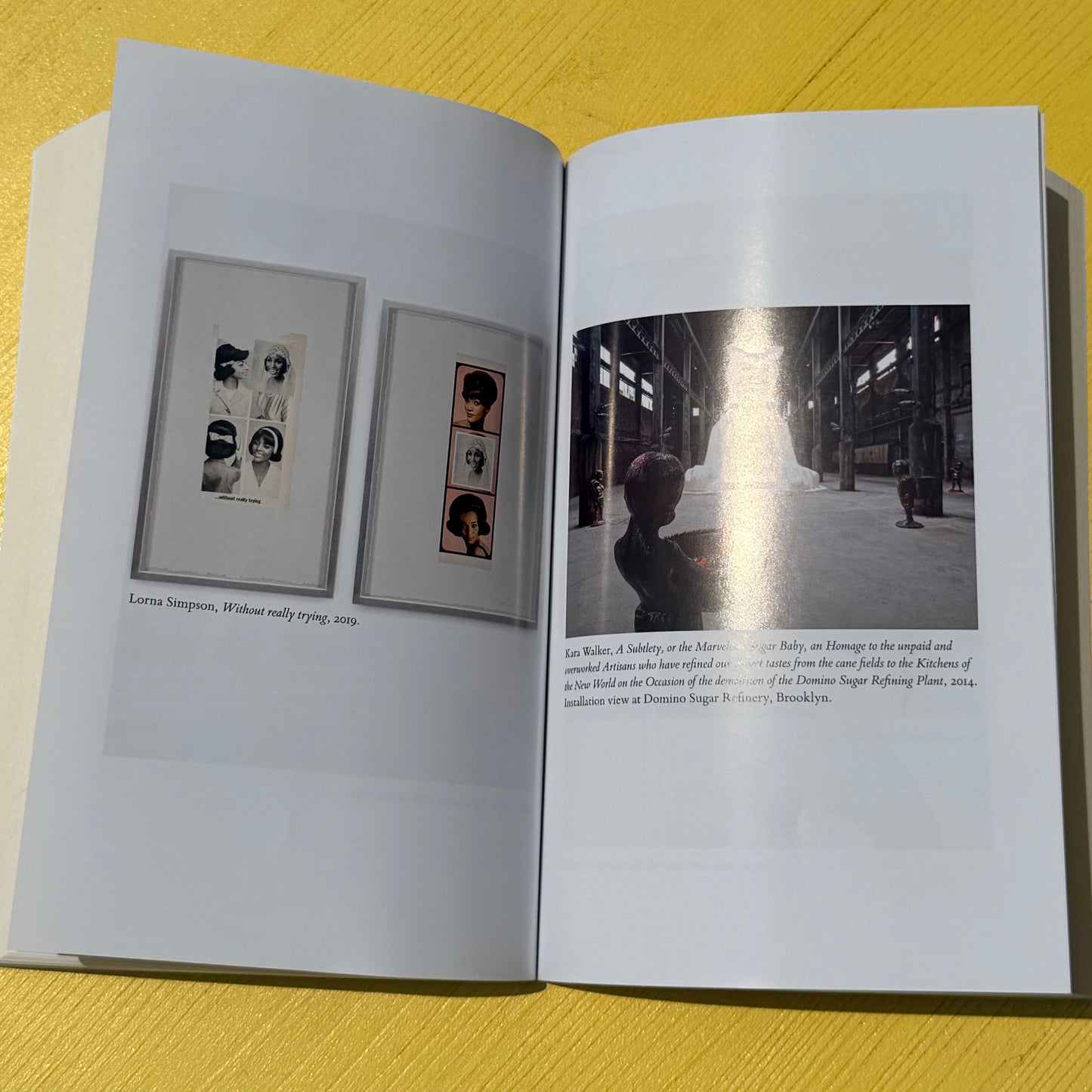 Art Monsters: Unruly Bodies in Feminist Art Book
