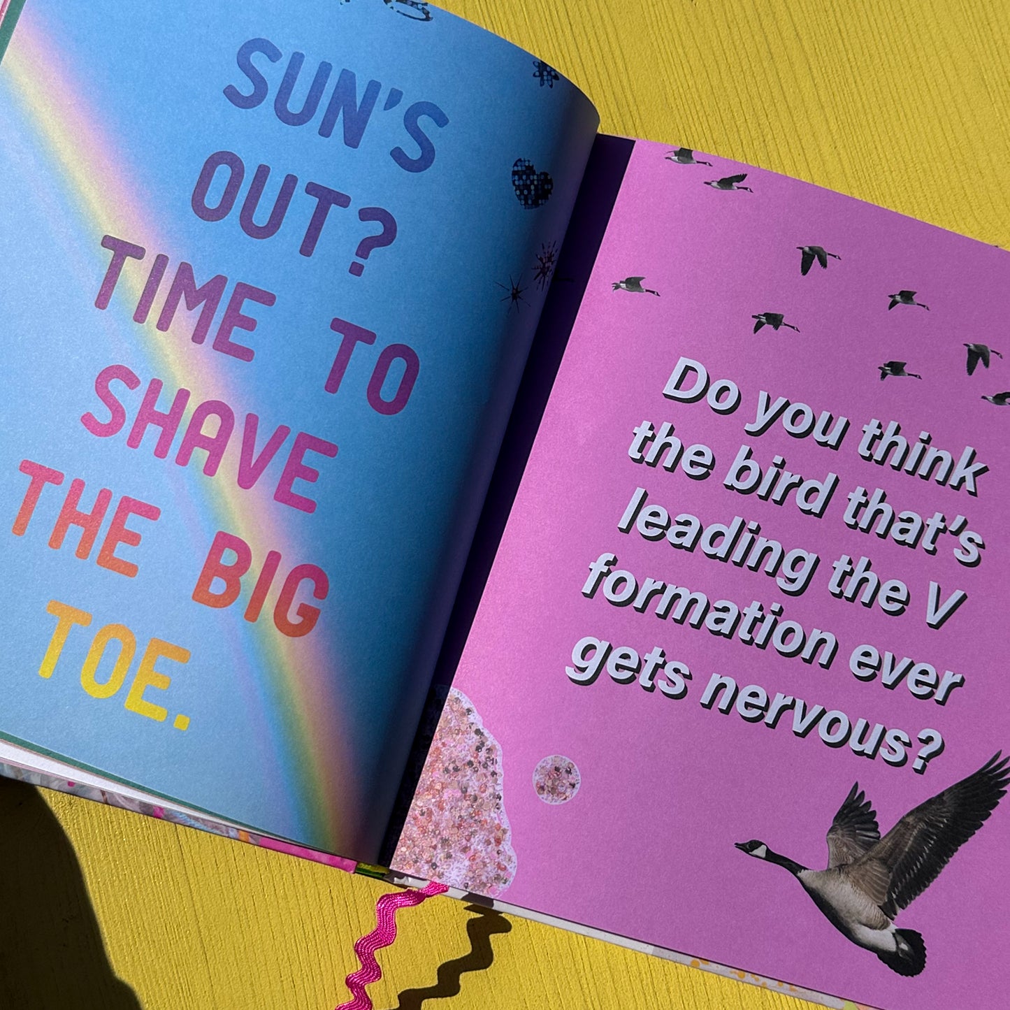 Shitty Craft Club Book