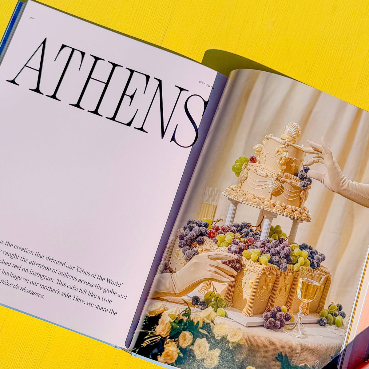 Fancy Cakes Book