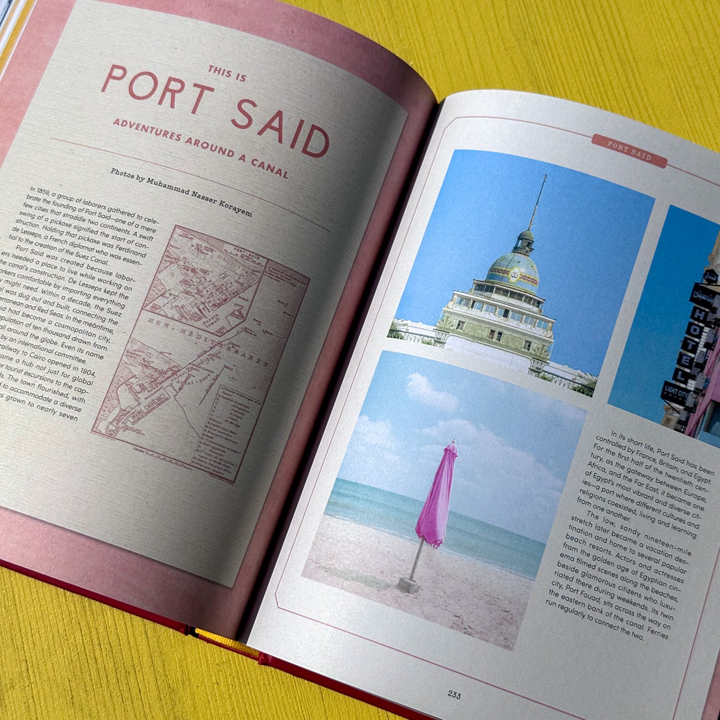Accidentally Wes Anderson Book