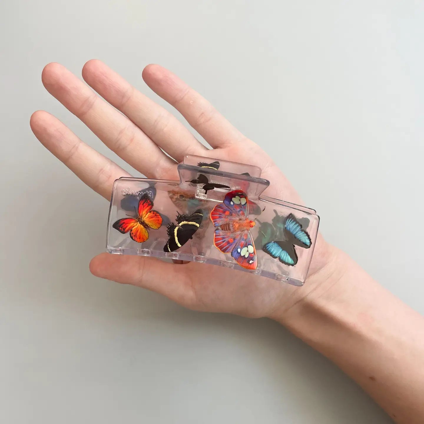 Box Claw Butterfly Clip