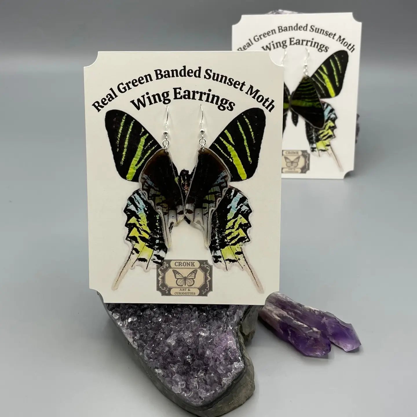 Real Green Banded Sunset Moth Wing Earrings