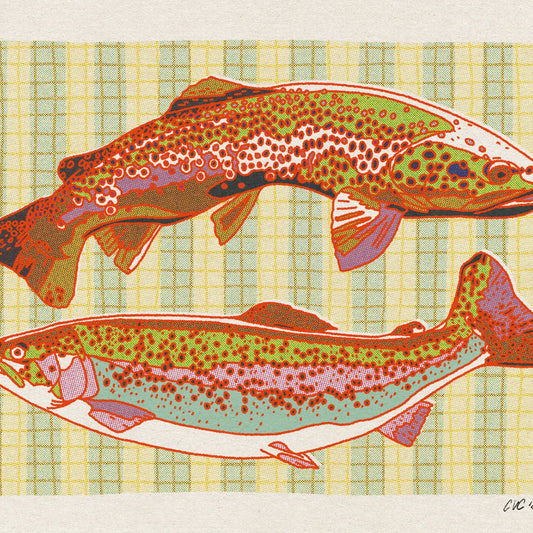 Stripped Trout Print - 8" x 10"