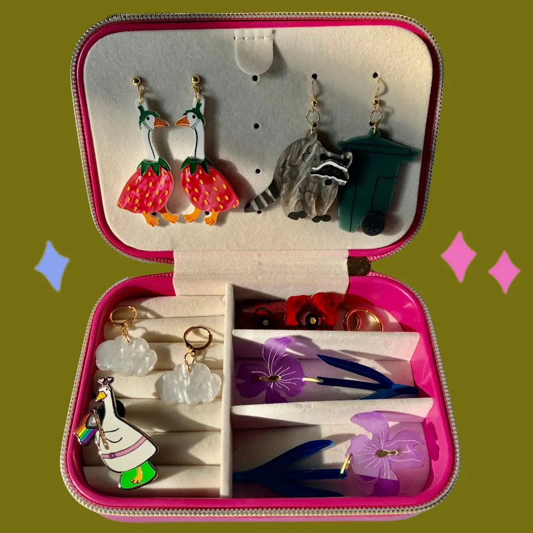 Jewelry Case By Not Picasso
